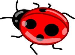 ladybird
