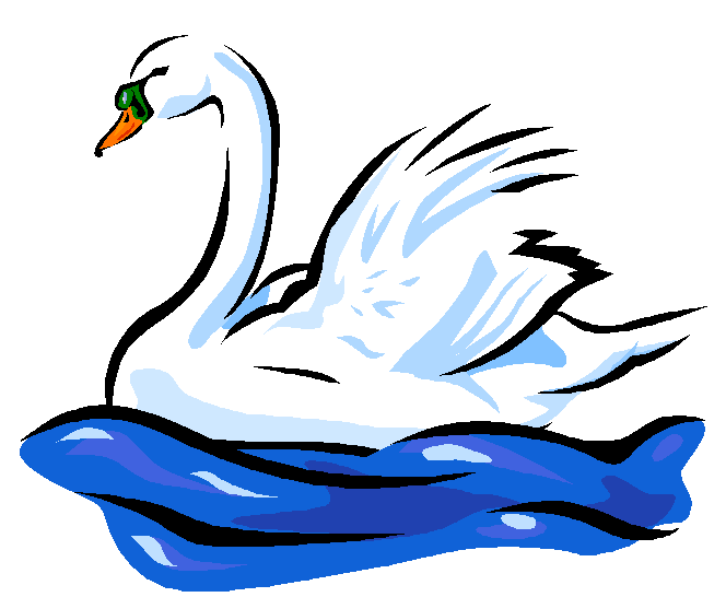swan